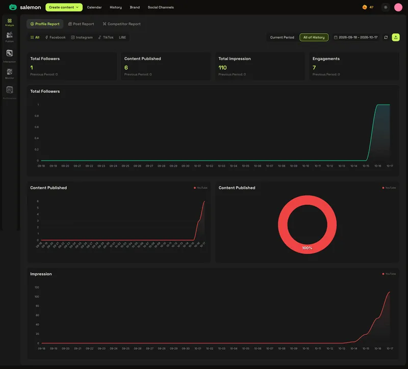 Platform report: followers, posts, impressions and engagement over time.